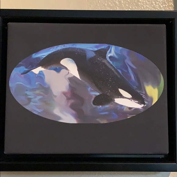Original Orca Photography on Canvas